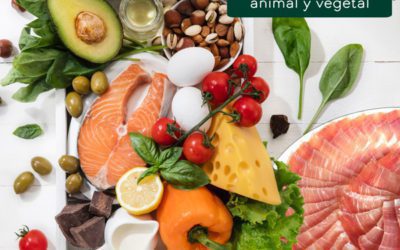¿Por qué elegir la proteína animal antes de la proteína vegetal?